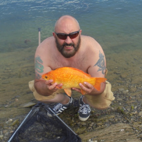 Goldfish Fishing.jpg Goldfish Fishing.jpg